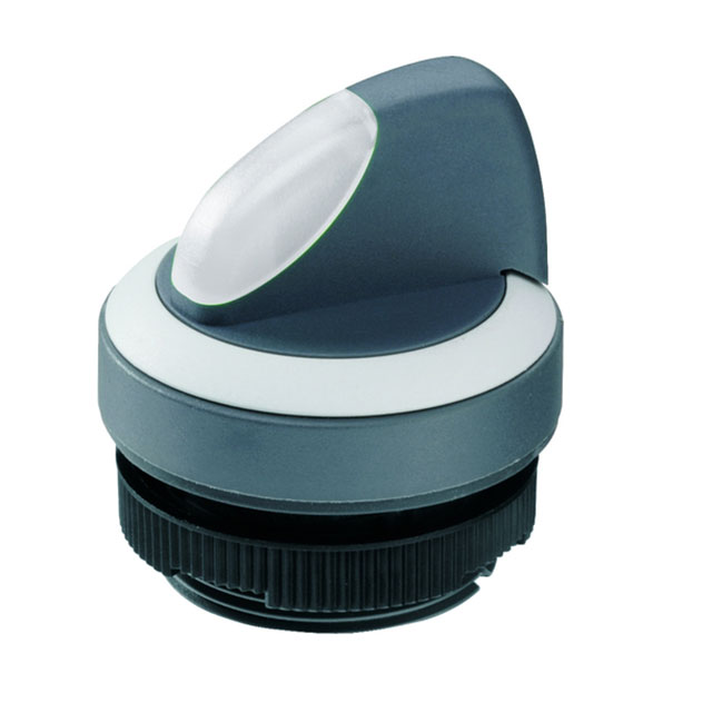 1.30.272.302/2200 RAFI USA Switches DigiKey